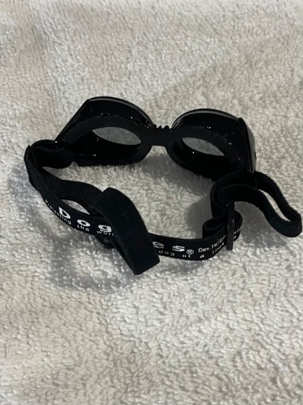 Doggles - Picture 2 of 3